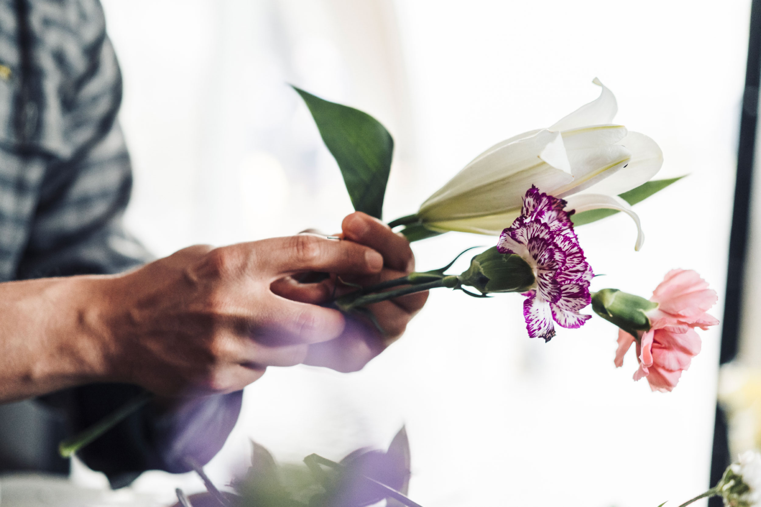 fleurs1 fleurs1
